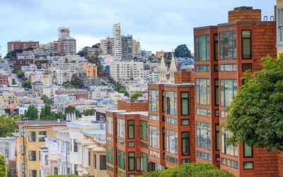 Letter to the editor: What are the rights of a tenant with a service or support animal?