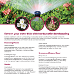 Hardy native landscaping