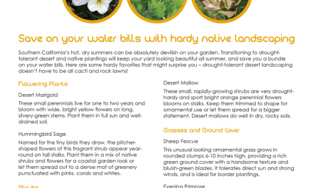 FARM: Save on your water bills with hardy native landscaping