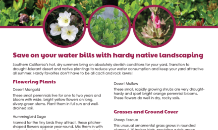 FARM: Save on your water bills with hardy native landscaping
