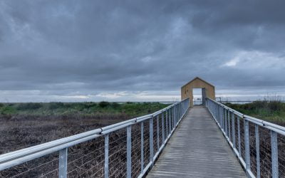 Builder confidence collapses as recession settles over the housing market