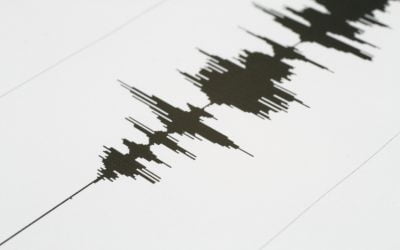 How 1.5 million homeowners exiting forbearance will impact inventory