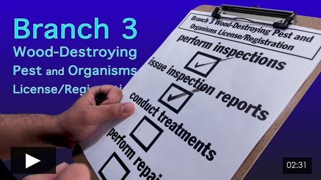 The Original Inspection and Report