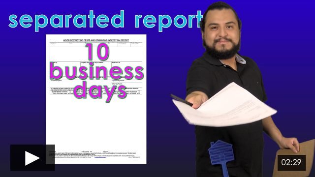 The Standardized Inspection Report