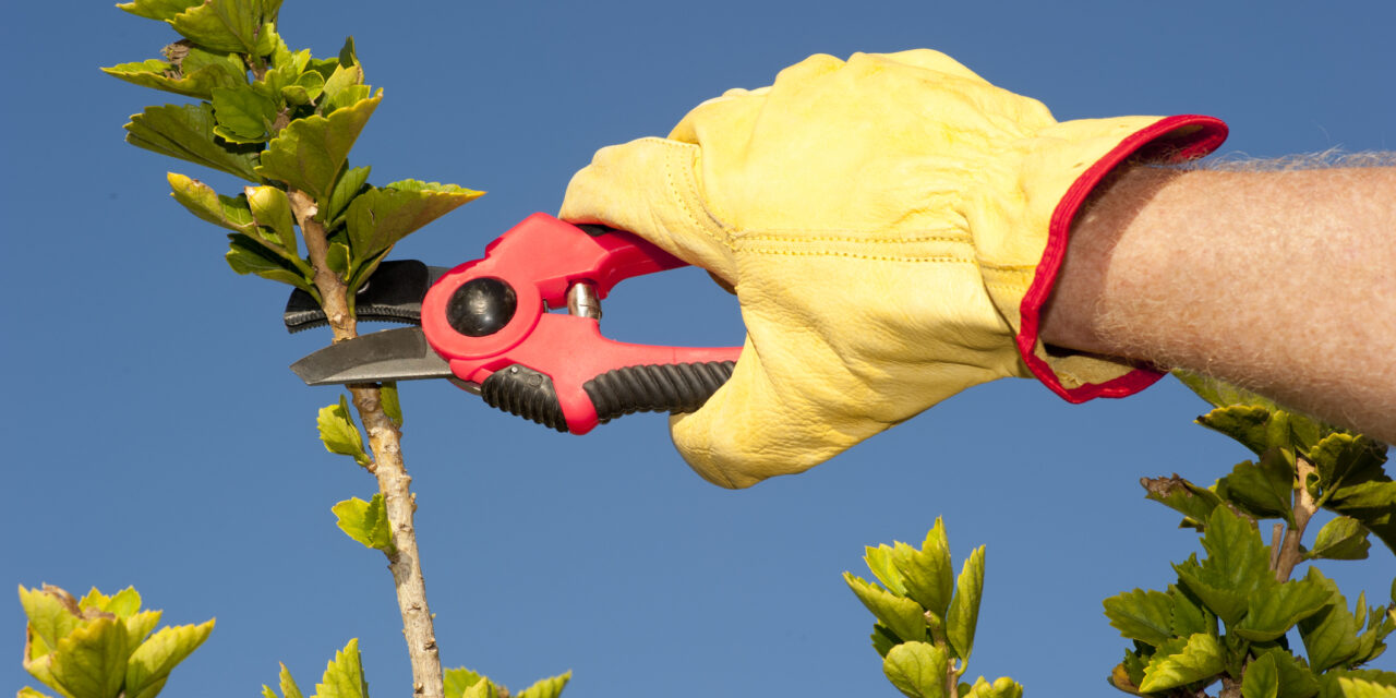 New defensible space rules to harden improvements