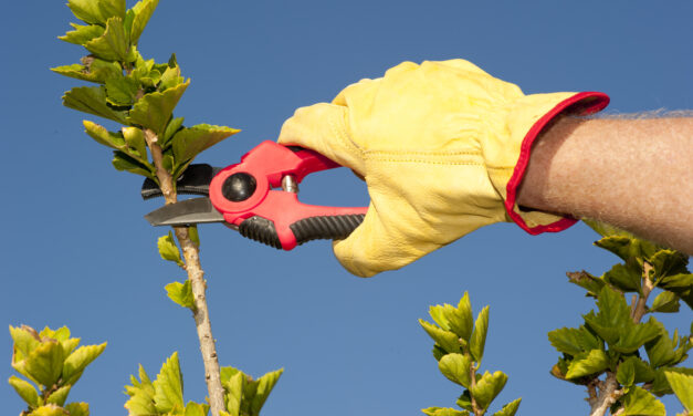 New defensible space rules to harden improvements