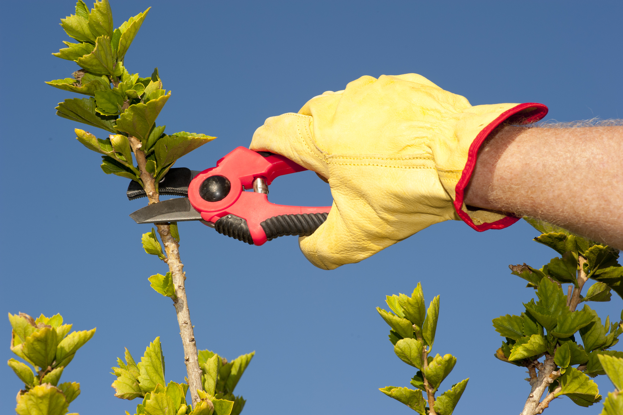 New defensible space rules to harden improvements