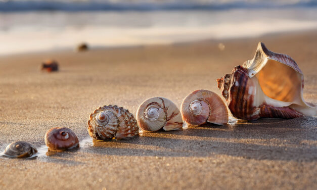 Measuring turnover: what motivates a move?