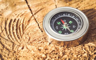 DRE Hot Seat: Real estate course provider falsely promises free CE for life