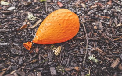 Buyer purchasing power goes negative, reigning in home sales volume and prices; Monthly Statistical Update (November 2021)