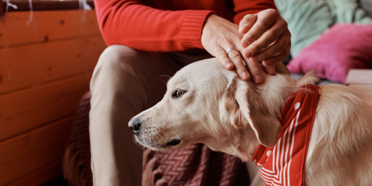 Pet addendum needs to be disclosed with the rental application