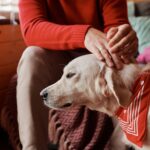 Pet addendum needs to be disclosed with the rental application