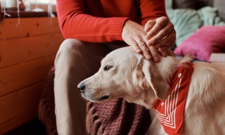 Pet addendum needs to be disclosed with the rental application