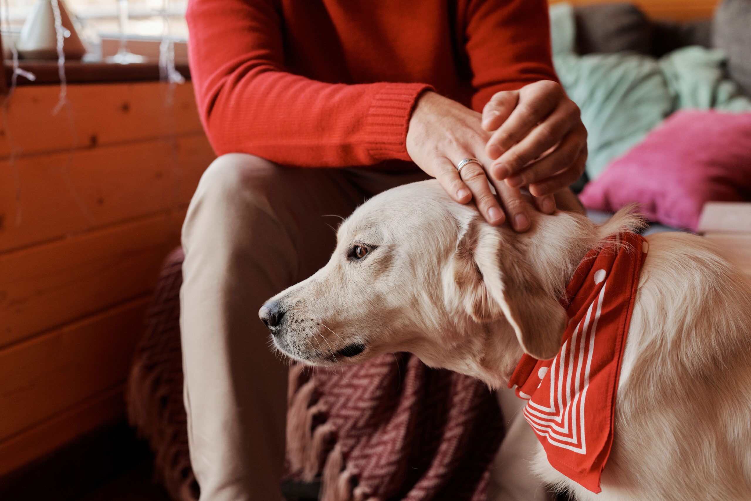 Pet addendum needs to be disclosed with the rental application