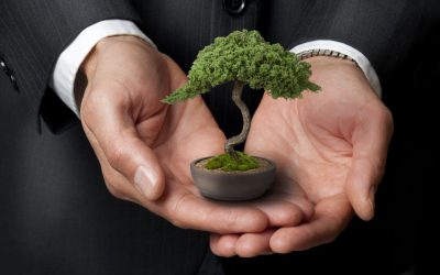 Resurrect the DRE’s code of ethics: taking a closer look