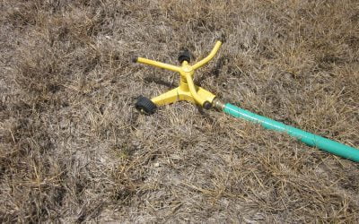 New law to add landscaping components to home inspection report