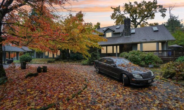 Down payment download: Now this is ownership