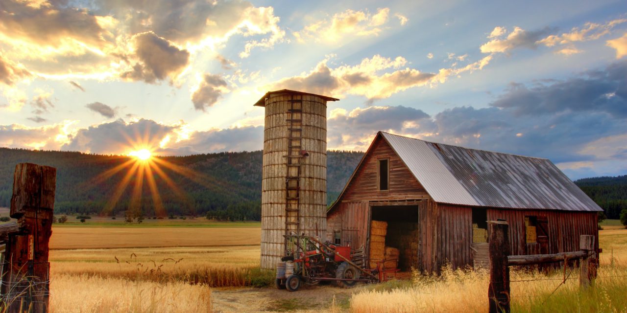Form-of-the-Week: Purchase Agreement — Farm and Ranch — Form 158
