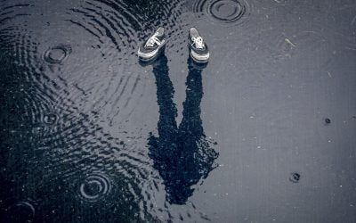 2020’s struggling jobs market foreshadows declining home prices in 2021; Monthly Statistical Update (December 2020)