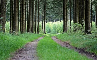 The roadblocks Millennials face on the path to homeownership