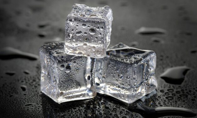 California’s turnover rate ice cold in 2024