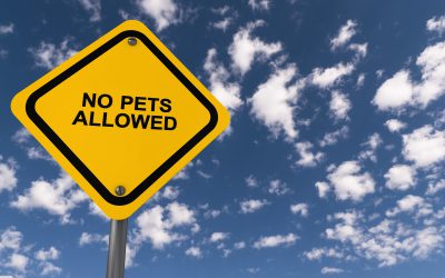 New California law requires landlords of low-income rental housing to allow pets