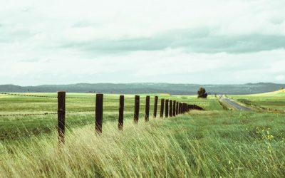 Is an owner who fails to timely assert their ownership of land laying beyond a fence barred from claiming trespass?
