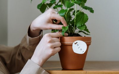 Hiring newly-minted real estate agents in a recession