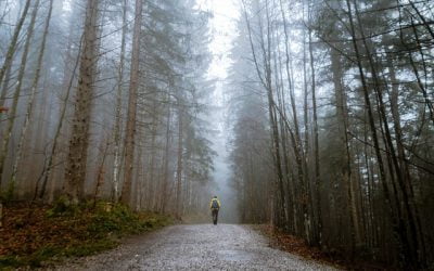 Is the public entitled to an easement to use trails on a property whose owner continuously attempts to deter trespassers?