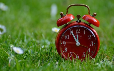 2024 updates to no-fault just cause eviction procedures