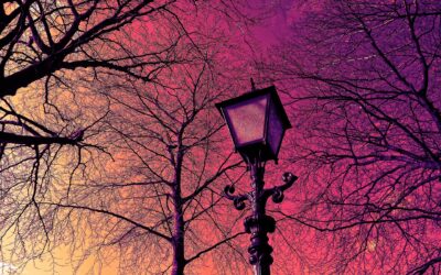 Form-of-the-Week: Request for Notice of Mello-Roos Assessment — Form 137