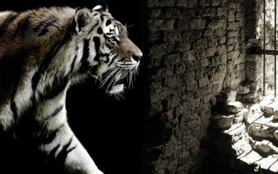 What does the expiration of the DOJ’s oversight of NAR mean for the real estate industry?