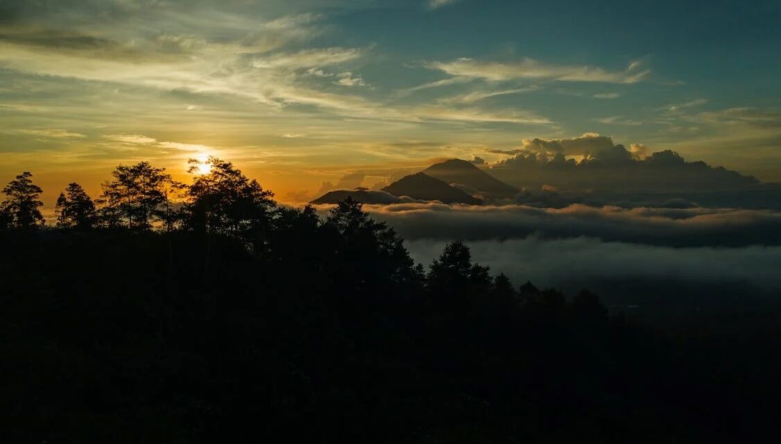 May an HOA trim trees on a parcel within the HOA when its CC&Rs do not include a tree-cutting provision while other parcels do have a provision?