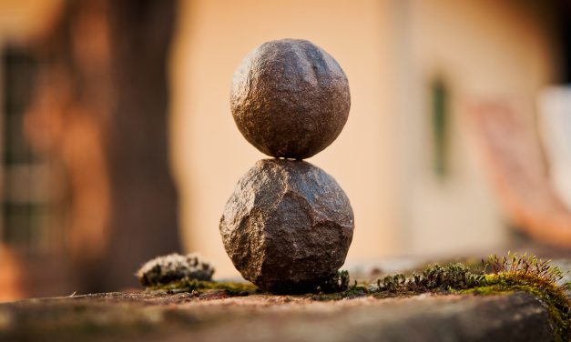 Interest rates at an unequal bottom; Monthly Statistical Update (November 2019)