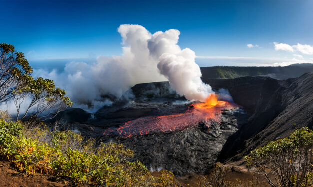 Is an insurer liable when an owner is covered for loss of business income due to a virus and operations are suspended during the COVID-19 lockdown?