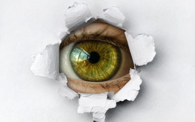 DRE Hot Seat: The buck stops with the designated broker — always