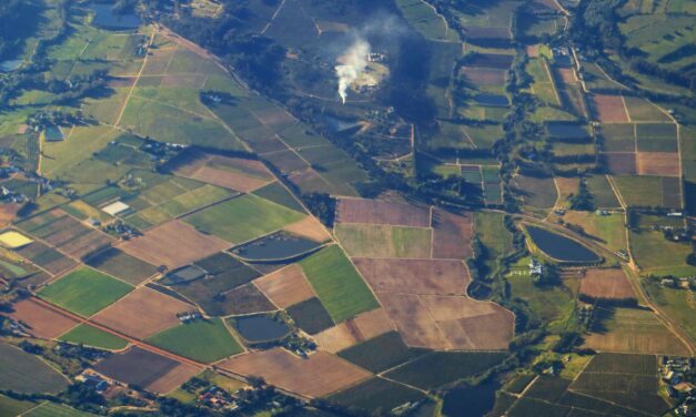 BPO series: What is real estate?