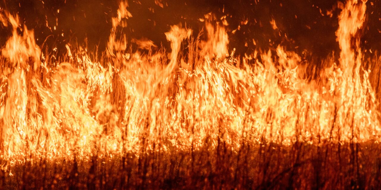 Form-of-the-Week: Natural Hazard Disclosure Statement and Fire Hardening and Defensible Space Disclosure Statement — Forms 314 and 314-1