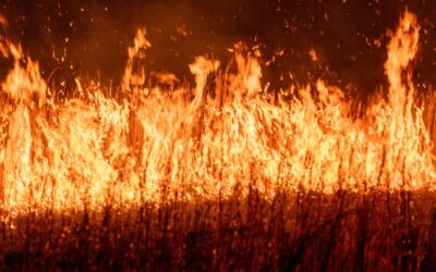 Form-of-the-Week: Natural Hazard Disclosure Statement and Fire Hardening and Defensible Space Disclosure Statement — Forms 314 and 314-1