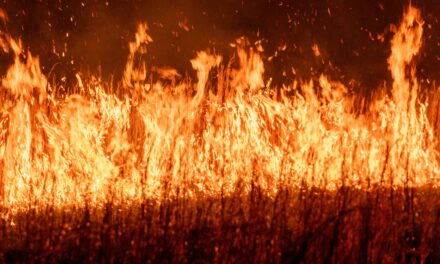 Form-of-the-Week: Natural Hazard Disclosure Statement and Fire Hardening and Defensible Space Disclosure Statement — Forms 314 and 314-1